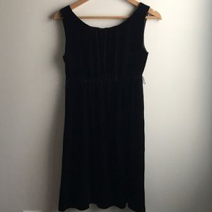 GAP Midnight Blue Velvet Dress
